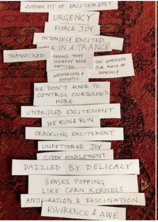 Worte auf Zetteln: "plötzlicher Anfall von Aufregung" "Dringlichkeit" "heftige Freude" "intensiv aufgeregt" "Arbeit in Trance" "gebannt", "Dinge, die sonst niemand bemerkt", "die Landschaft unser Ort der Anbetung" "hypnotisierend & hypnotisch" "Wir müssen uns hier nicht beherrschen" "ungezügelte Aufregung" "Wir laufen & laufen" "knisternde Aufregung" ' 'uneingeschränkte Freude' 'schwindelerregendes Staunen' 'geblendet von Delikatesse' 'Sinne knallen wie Maiskörner' 'Vorfreude & Faszination' 'Ehrfurcht & Ehrfurcht'