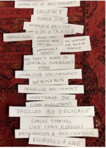 Snippets from Dara's book, written in pen in all-caps, cut out and arranged by Dinah
Sudden fit of excitement
Urgency
Fierce joy
Intensely excited
Walk in a trance
Transfixed
Things that nobody notices
The landscape our place of worship
Mesmerising & hypnotic
We don't have to control ourselves here
Unbridled excitement
We run & run
Crackling excitement
Unfettered joy
Giddy amazement
Dazzled by delicacy
Senses popping like corn kernels
Anticipation & fascination
Reverence & awe