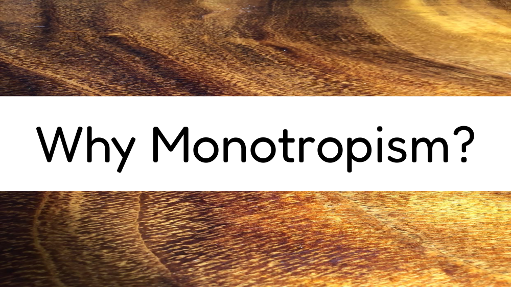Why Monotropism?