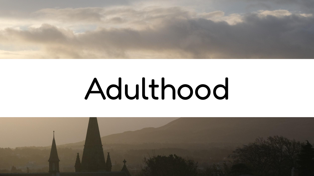 Adulthood