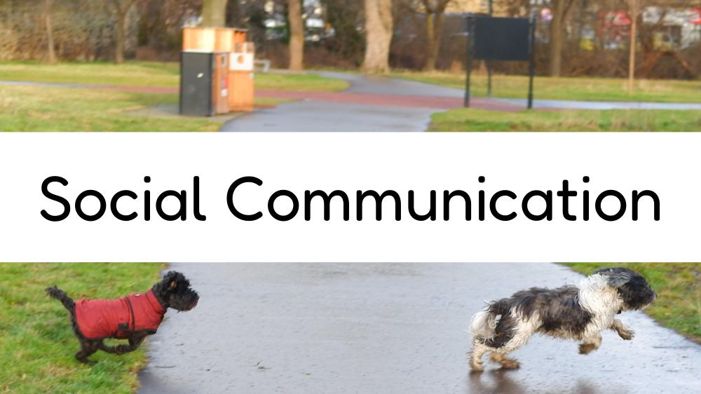 Social Communication